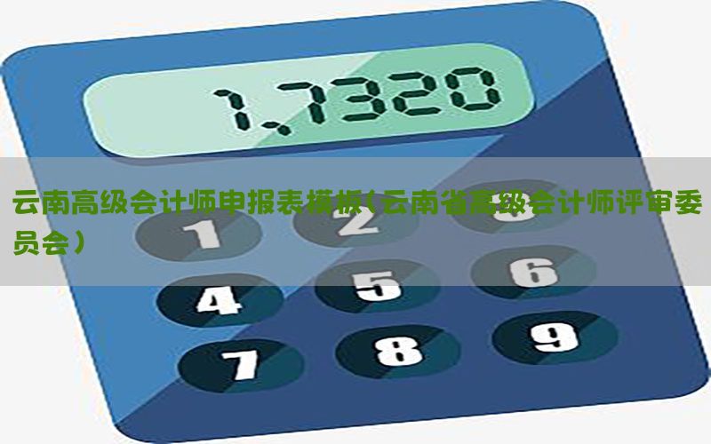 云南高级会计师申报表模板（云南省高级会计师评审委员会）