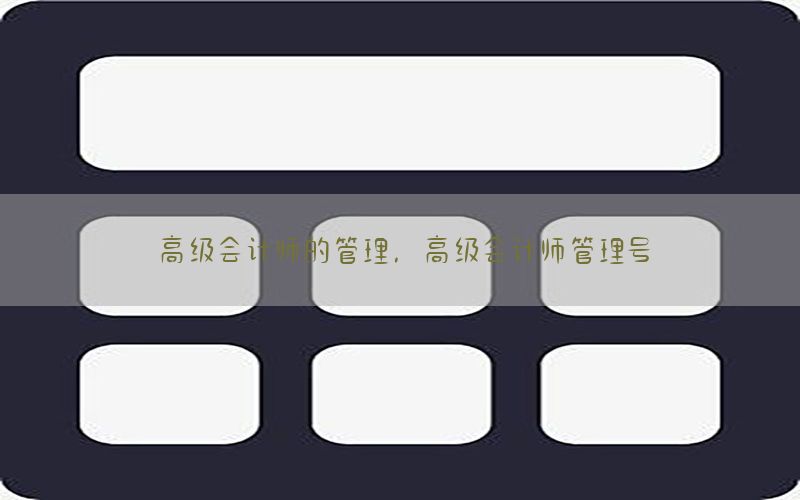 高级会计师的管理，高级会计师管理号