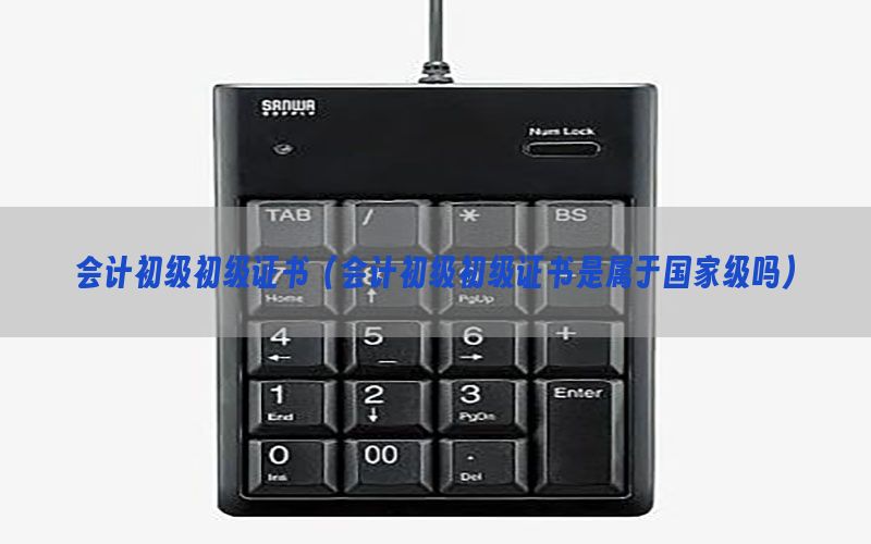 会计初级初级证书（会计初级初级证书是属于国家级吗）