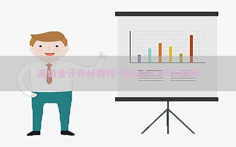高级会计师好费钱-高级会计师 有用吗