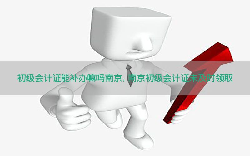 初级会计证能补办嘛吗南京，南京初级会计证未及时领取