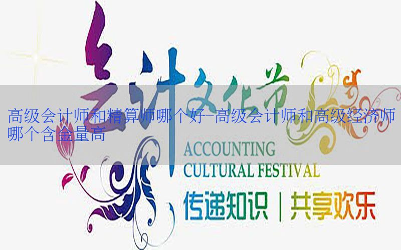高级会计师和精算师哪个好-高级会计师和高级经济师哪个含金量高