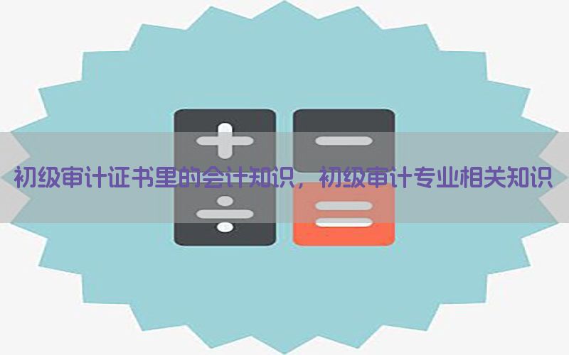 初级审计证书里的会计知识，初级审计专业相关知识