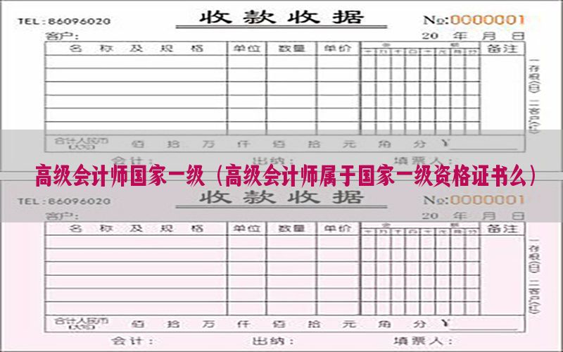 高级会计师国家一级（高级会计师属于国家一级资格证书么）