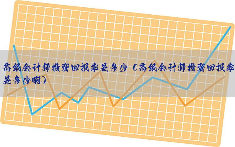 高级会计师投资回报率是多少（高级会计师投资回报率是多少啊）