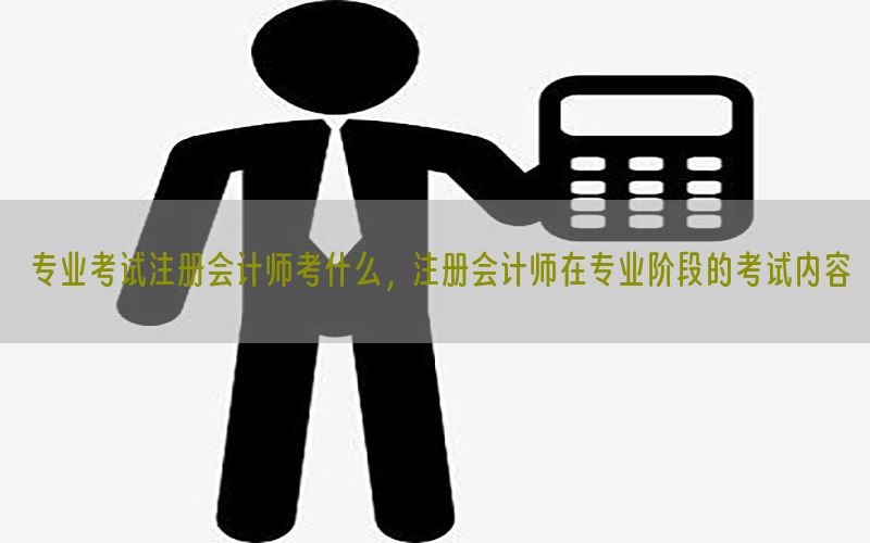 专业考试注册会计师考什么，注册会计师在专业阶段的考试内容