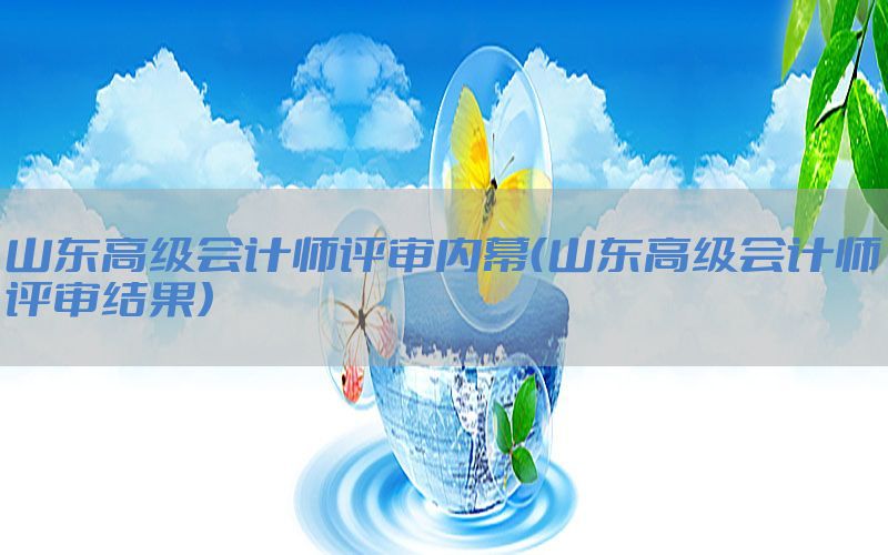 山东高级会计师评审内幕（山东高级会计师评审结果）