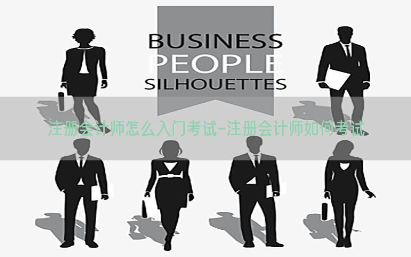 注册会计师怎么入门考试-注册会计师如何考试