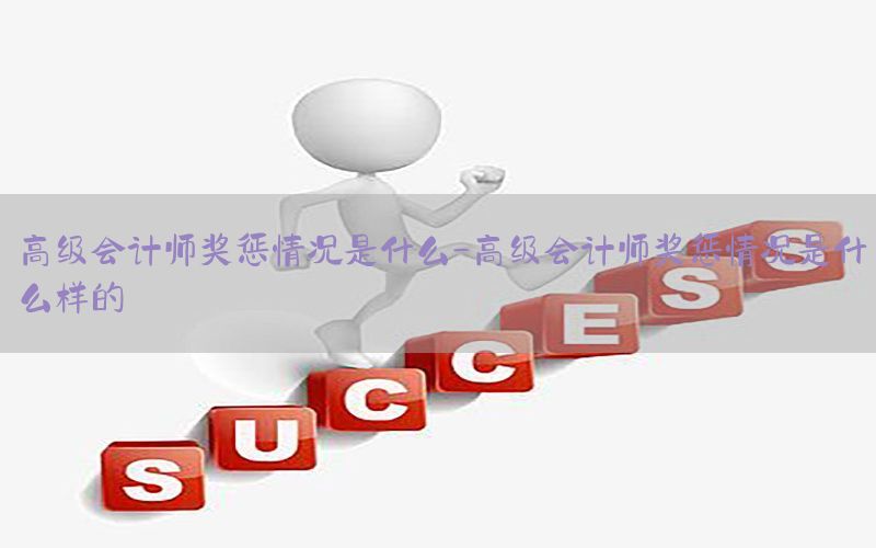 高级会计师奖惩情况是什么-高级会计师奖惩情况是什么样的