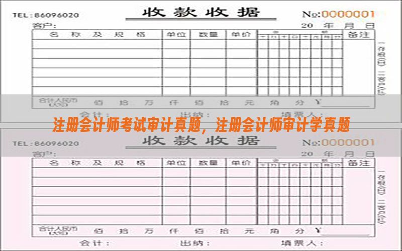 注册会计师考试审计真题，注册会计师审计学真题