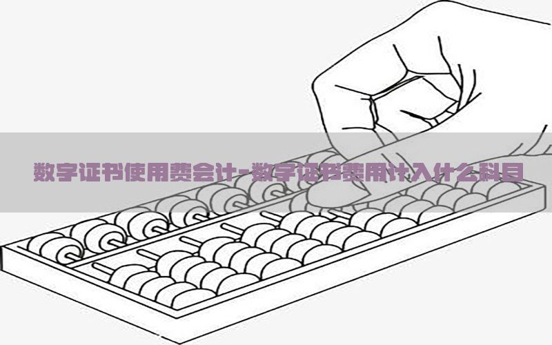 数字证书使用费会计-数字证书费用计入什么科目