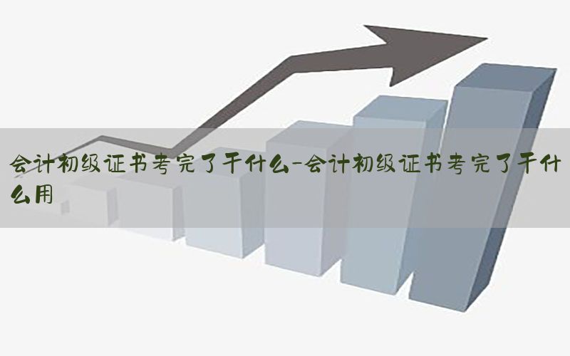 会计初级证书考完了干什么-会计初级证书考完了干什么用
