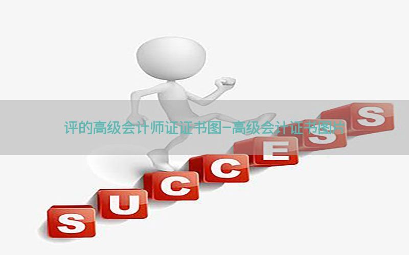 评的高级会计师证证书图-高级会计证书图片