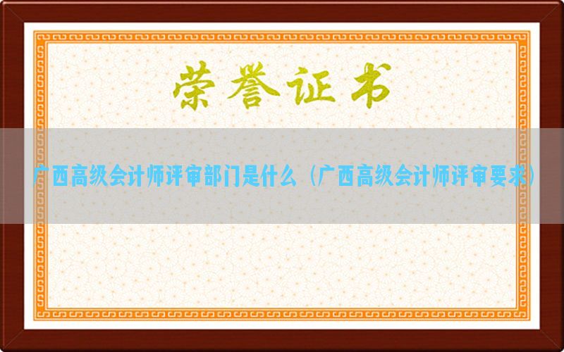 广西高级会计师评审部门是什么（广西高级会计师评审要求）