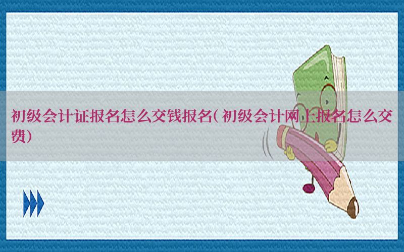 初级会计证报名怎么交钱报名（初级会计网上报名怎么交费）