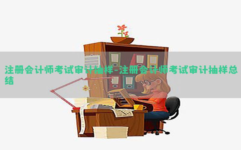 注册会计师考试审计抽样-注册会计师考试审计抽样总结