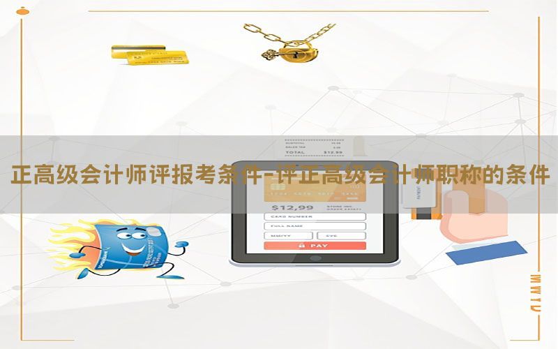 正高级会计师评报考条件-评正高级会计师职称的条件
