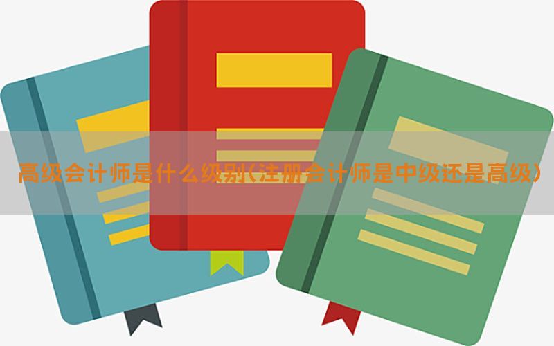 高级会计师是什么级别（注册会计师是中级还是高级）