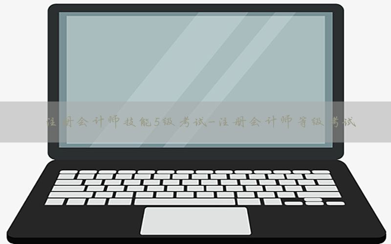 注册会计师技能5级考试-注册会计师等级考试