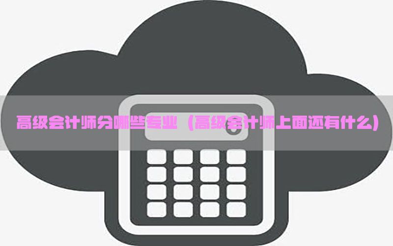 高级会计师分哪些专业（高级会计师上面还有什么）