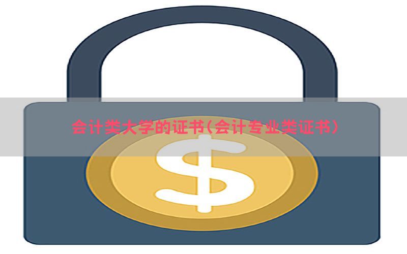 会计类大学的证书（会计专业类证书）