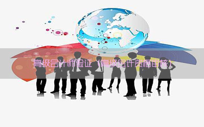 高级会计师验证（高级会计资格审核）