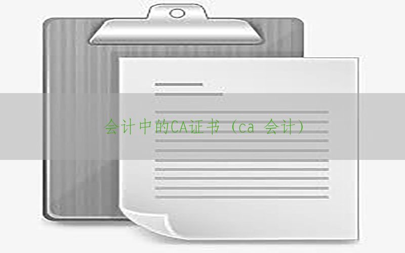 会计中的CA证书（ca 会计）