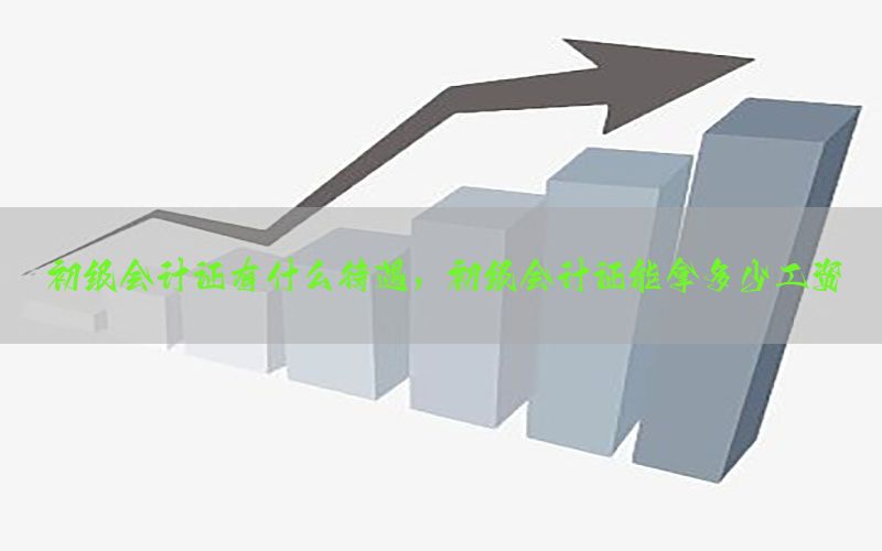 初级会计证有什么待遇，初级会计证能拿多少工资