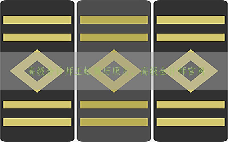 高级会计师王虹简历照片，高级会计师官网