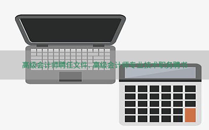 高级会计师聘任文件，高级会计师专业技术职务聘书