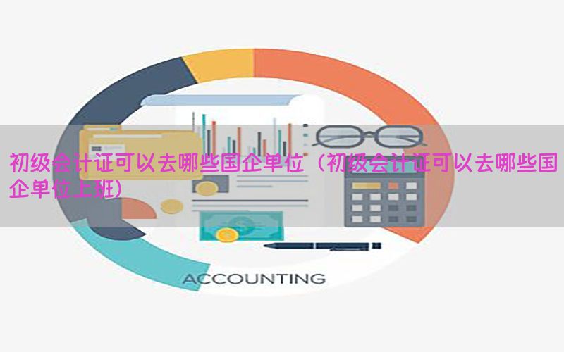 初级会计证可以去哪些国企单位（初级会计证可以去哪些国企单位上班）