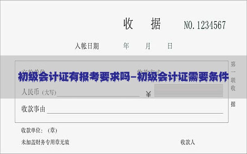 初级会计证有报考要求吗-初级会计证需要条件