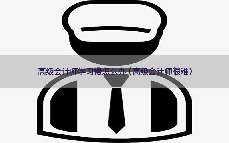高级会计师学习慢怎么办（高级会计师很难）