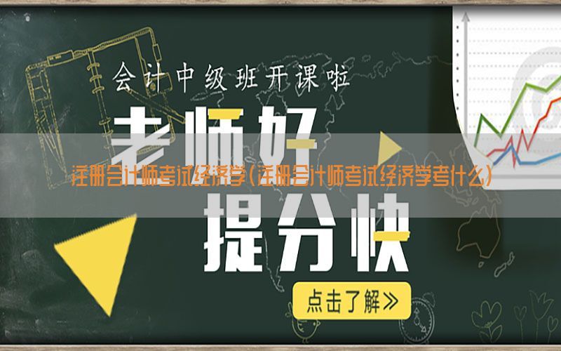注册会计师考试经济学（注册会计师考试经济学考什么）