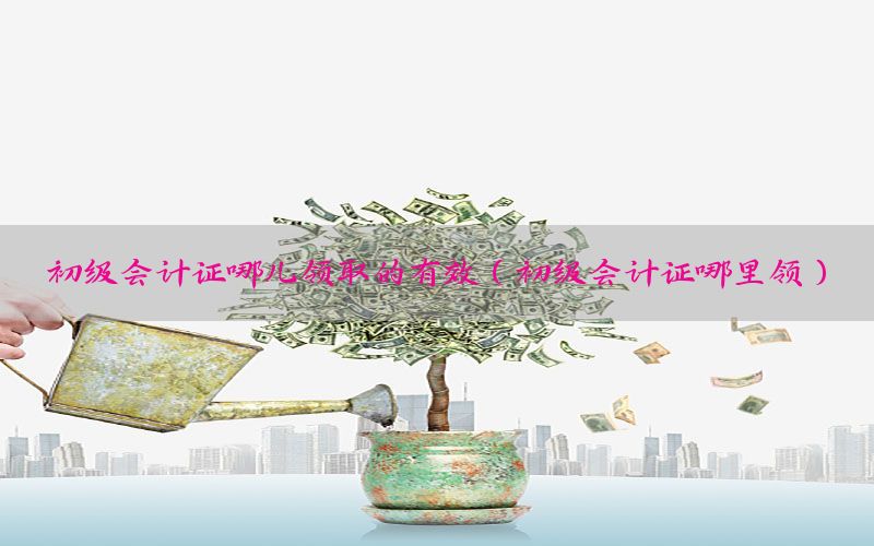 初级会计证哪儿领取的有效（初级会计证哪里领）
