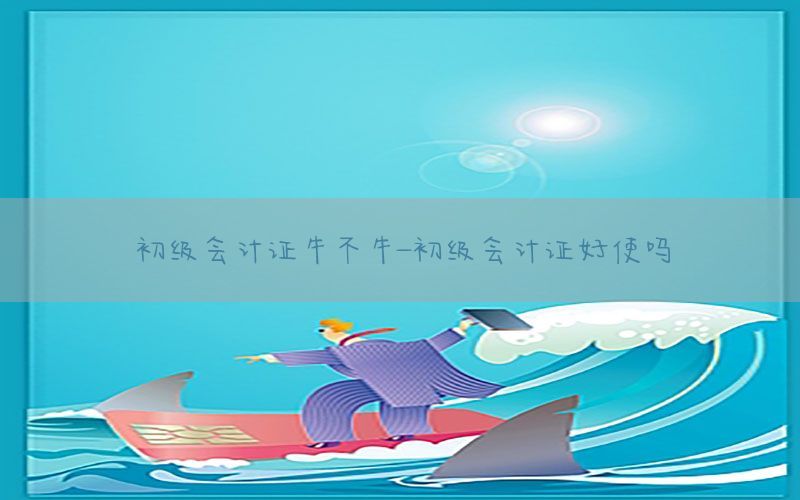 初级会计证牛不牛-初级会计证好使吗