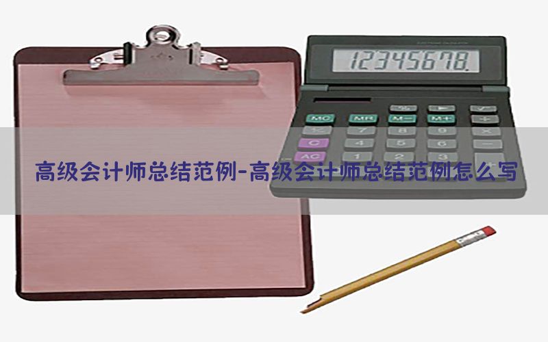 高级会计师总结范例-高级会计师总结范例怎么写
