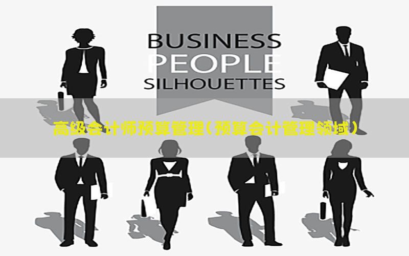 高级会计师预算管理（预算会计管理领域）