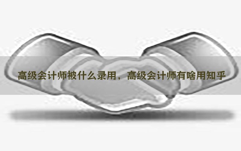 高级会计师被什么录用，高级会计师有啥用知乎