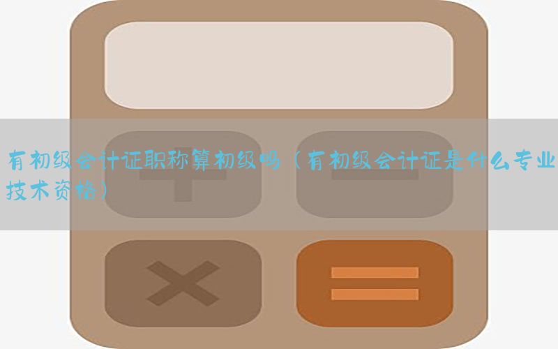 有初级会计证职称算初级吗（有初级会计证是什么专业技术资格）