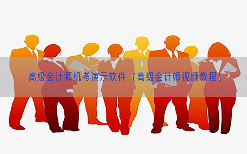 高级会计师机考演示软件（高级会计师视频教程）