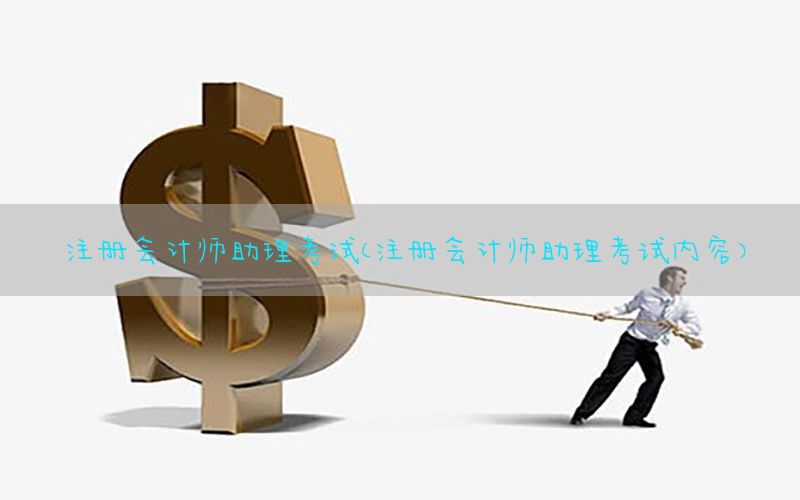 注册会计师助理考试（注册会计师助理考试内容）