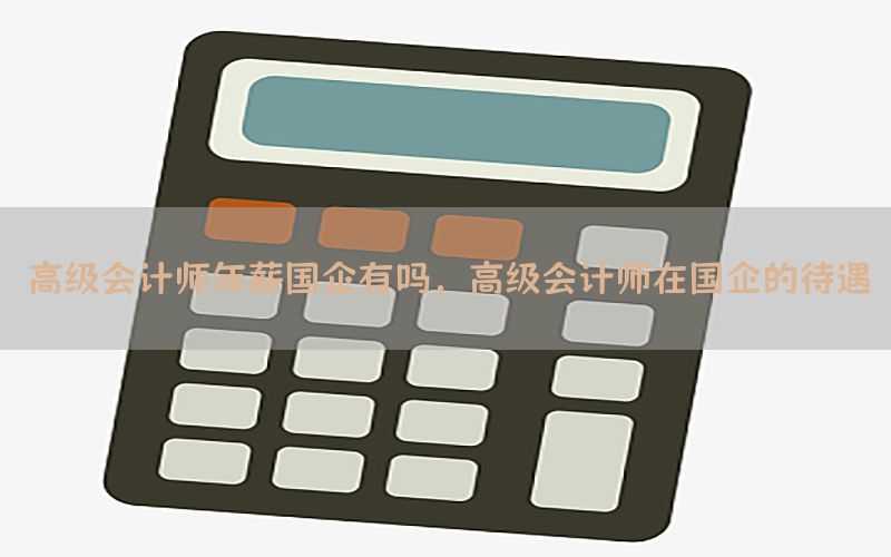 高级会计师年薪国企有吗，高级会计师在国企的待遇