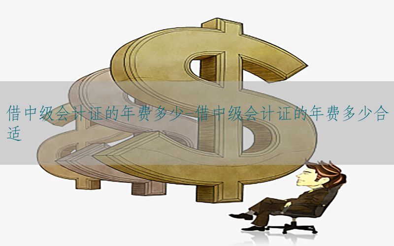 借中级会计证的年费多少-借中级会计证的年费多少合适