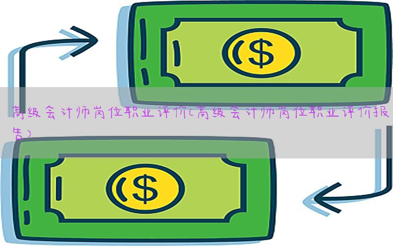 高级会计师岗位职业评价（高级会计师岗位职业评价报告）