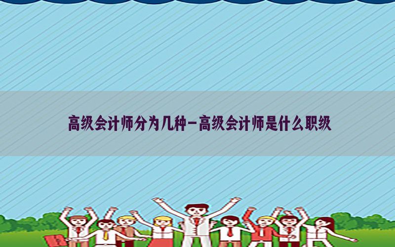 高级会计师分为几种-高级会计师是什么职级