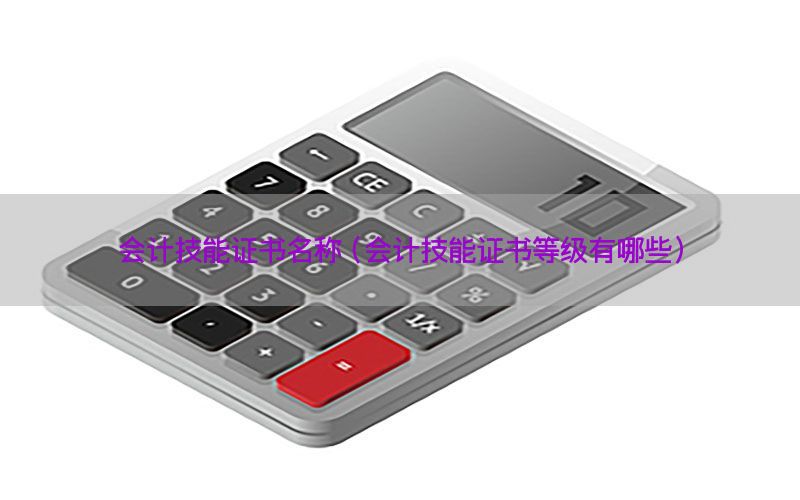 会计技能证书名称（会计技能证书等级有哪些）