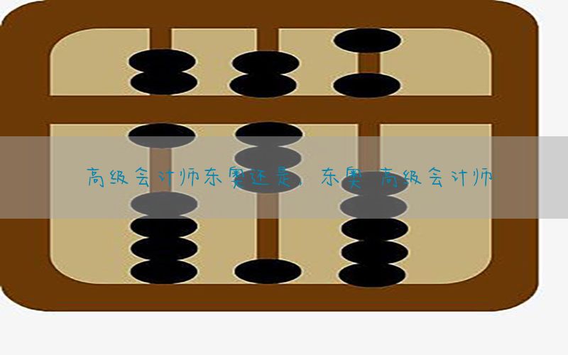 高级会计师东奥还是，东奥 高级会计师