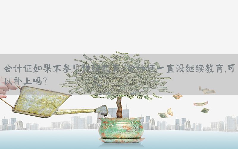 会计证如果不参见继续教育-会计证一直没继续教育,可以补上吗?