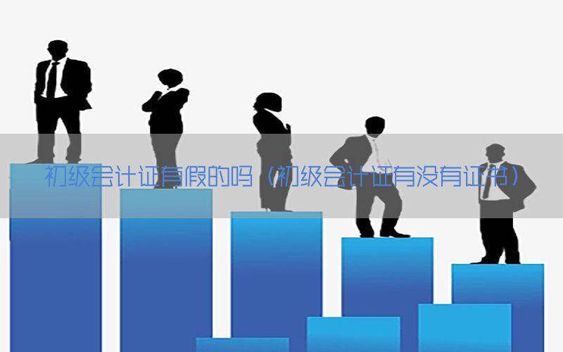 初级会计证有假的吗（初级会计证有没有证书）